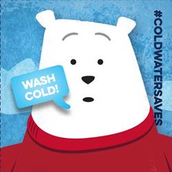 CWS-be bold bear